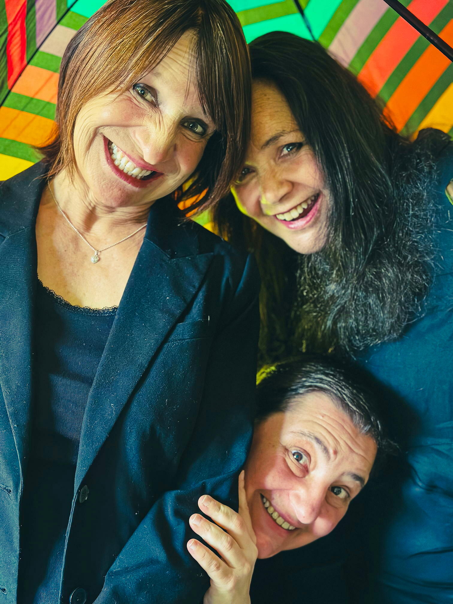 Support the Teatro Dimitri!